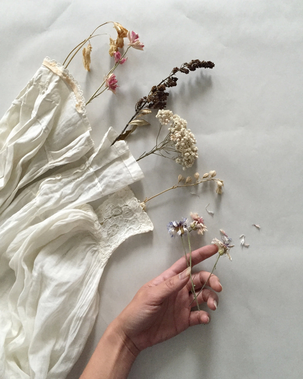 Thanks & Giving 2017