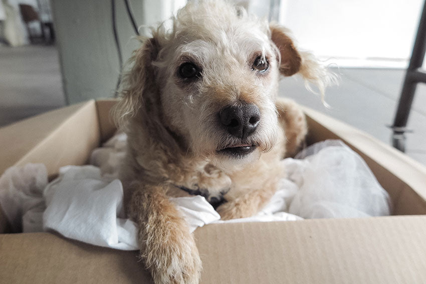 Redford Spills Some Beans