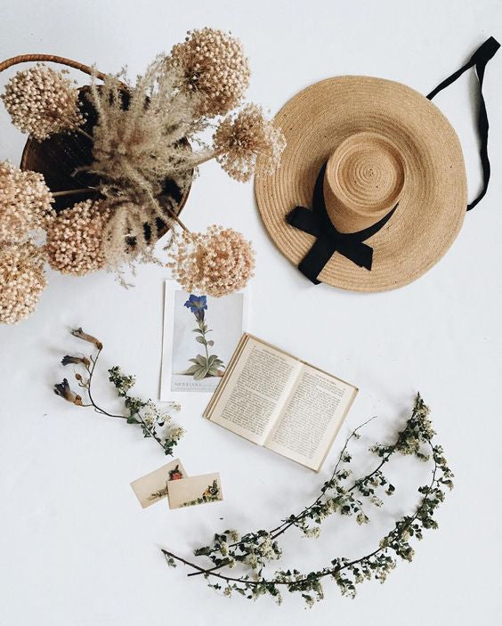 Being a "Brand" & "How I Grew My Instagram Followers"