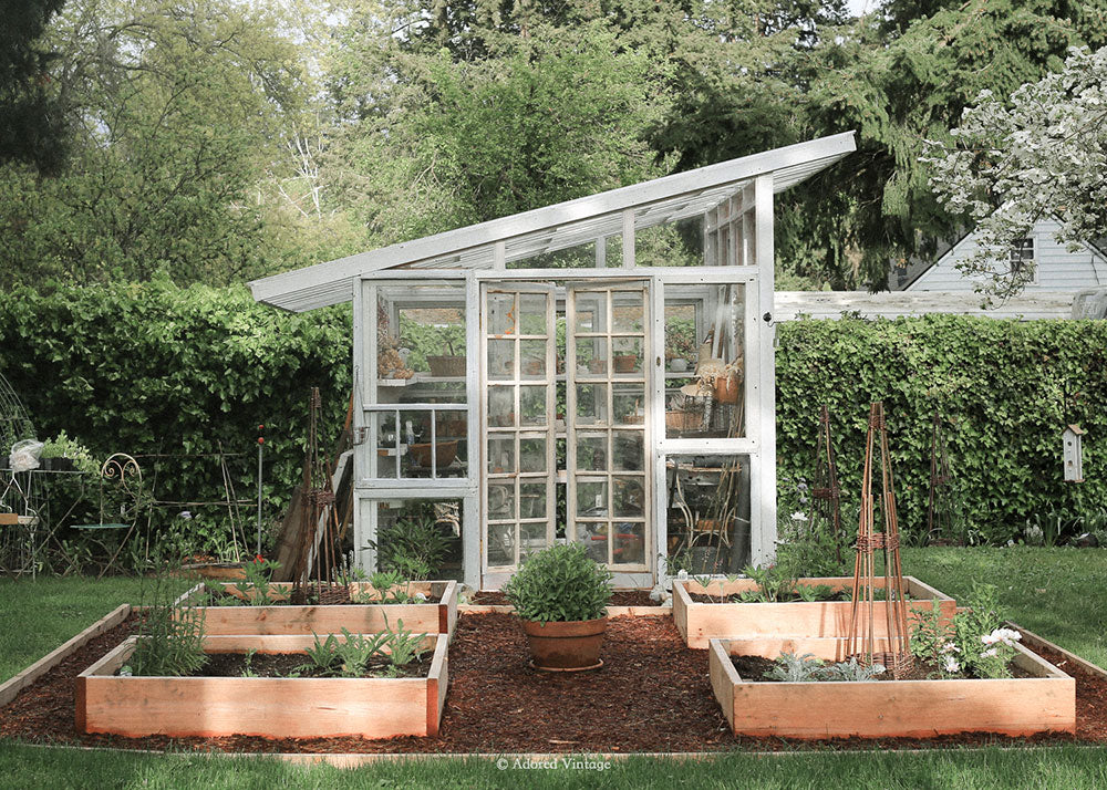 Photo Diary: April in My Garden