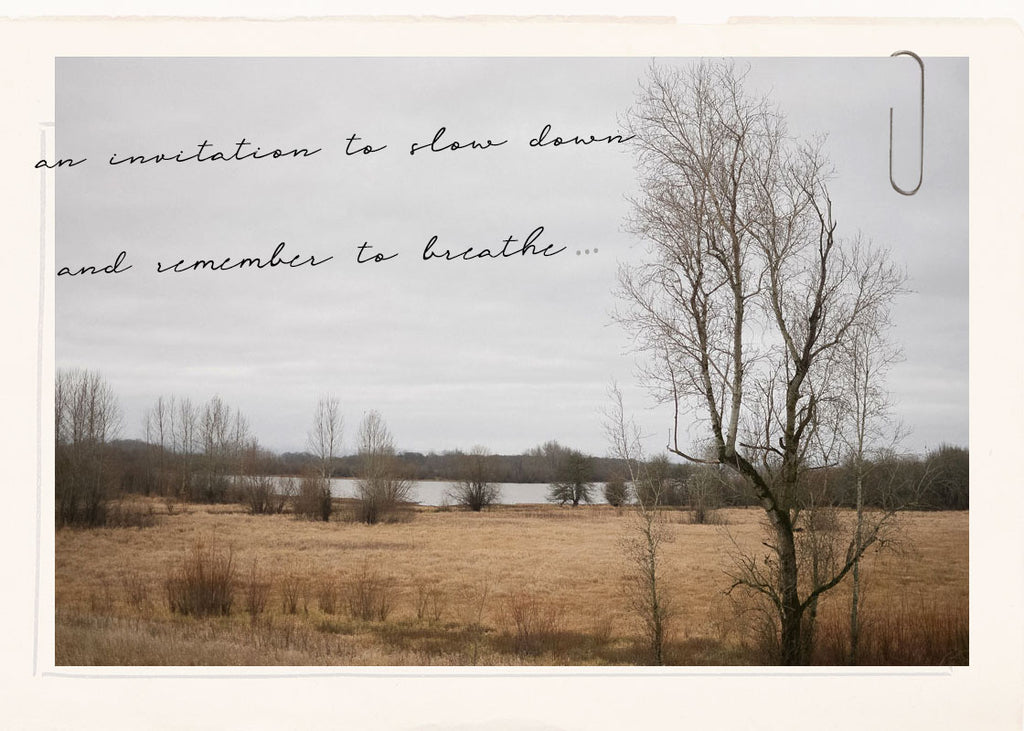 An Invitation to Slow Down and Breathe