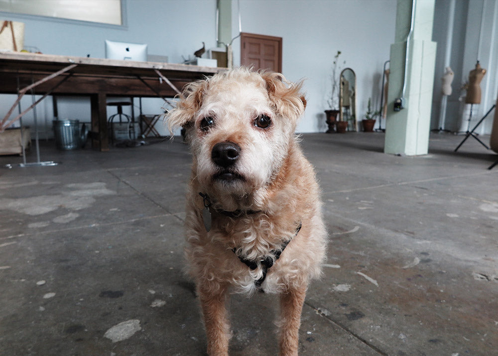 Behind the Scenes at Adored Vintage by Robert "Taters" Redford