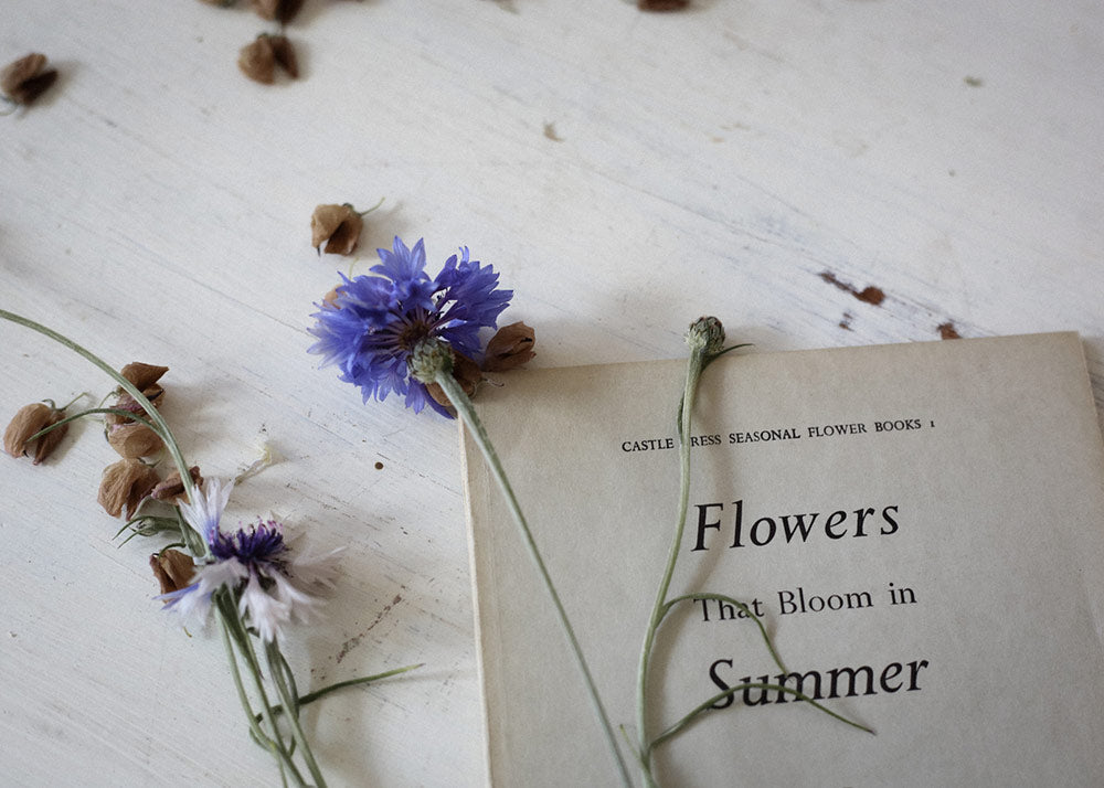 Flowers That Bloom in Summer