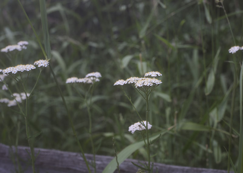 Self Care: Caring For One's Self