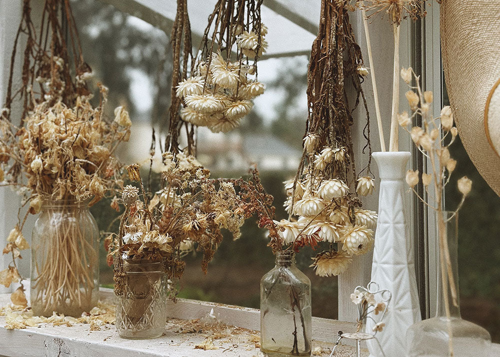 Adored Vintage Garden and Greenhouse in January