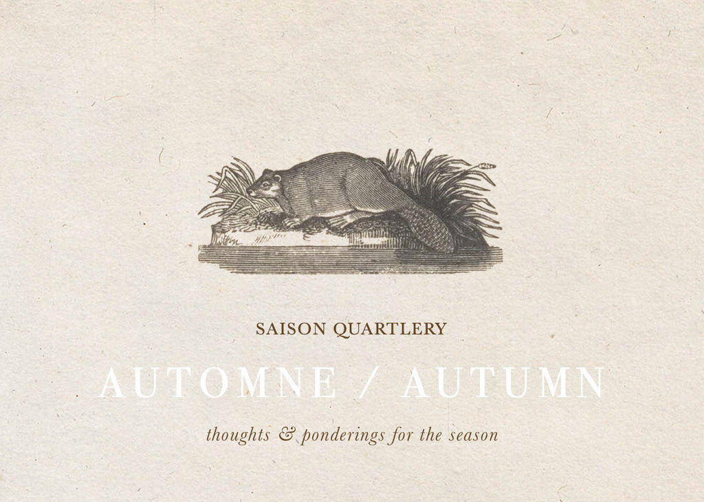 Thoughts & Musings / Saison de Automne
