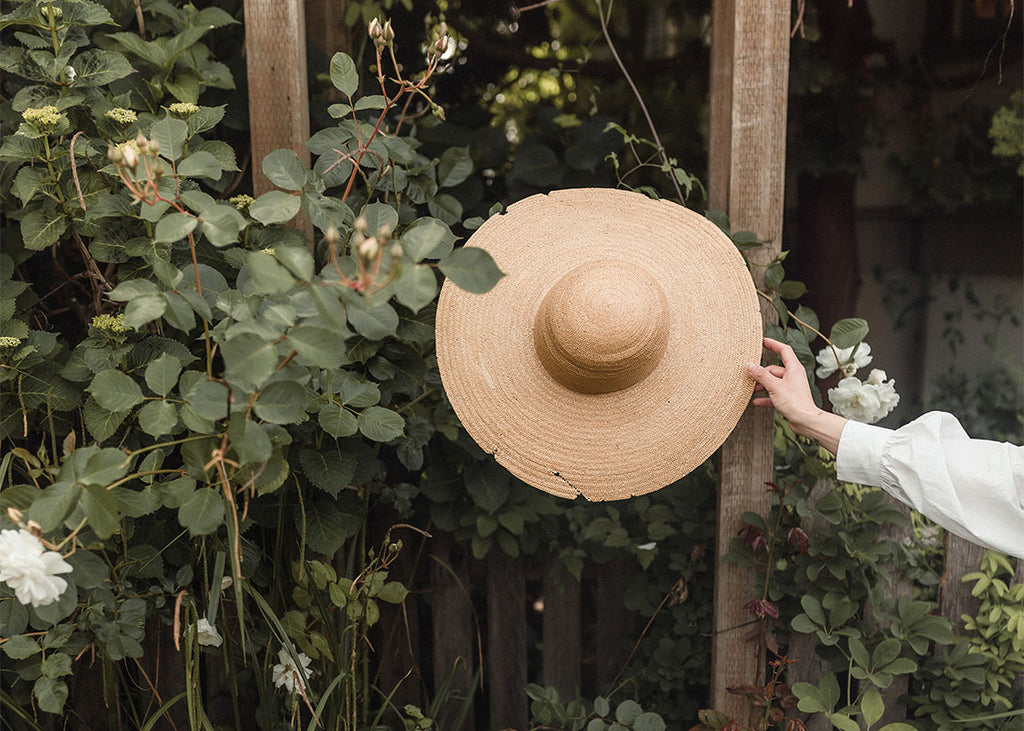 Searching For Beauty in the Everyday