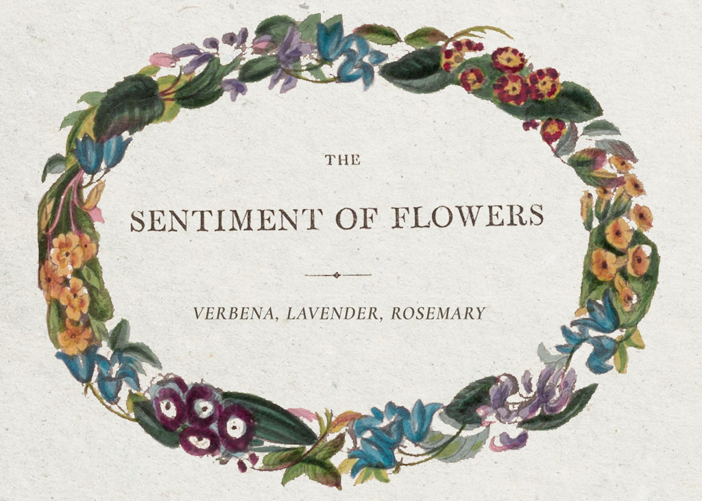 Language of Flowers: Verbena, Lavender, and Rosemary