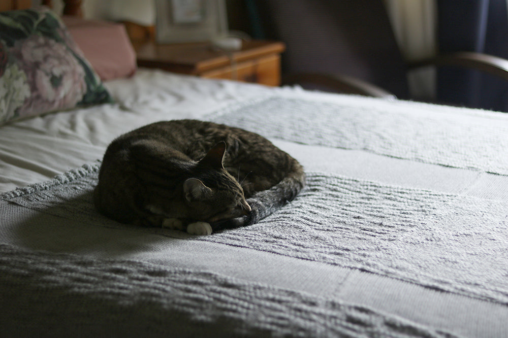 The Importance of Morning Rituals