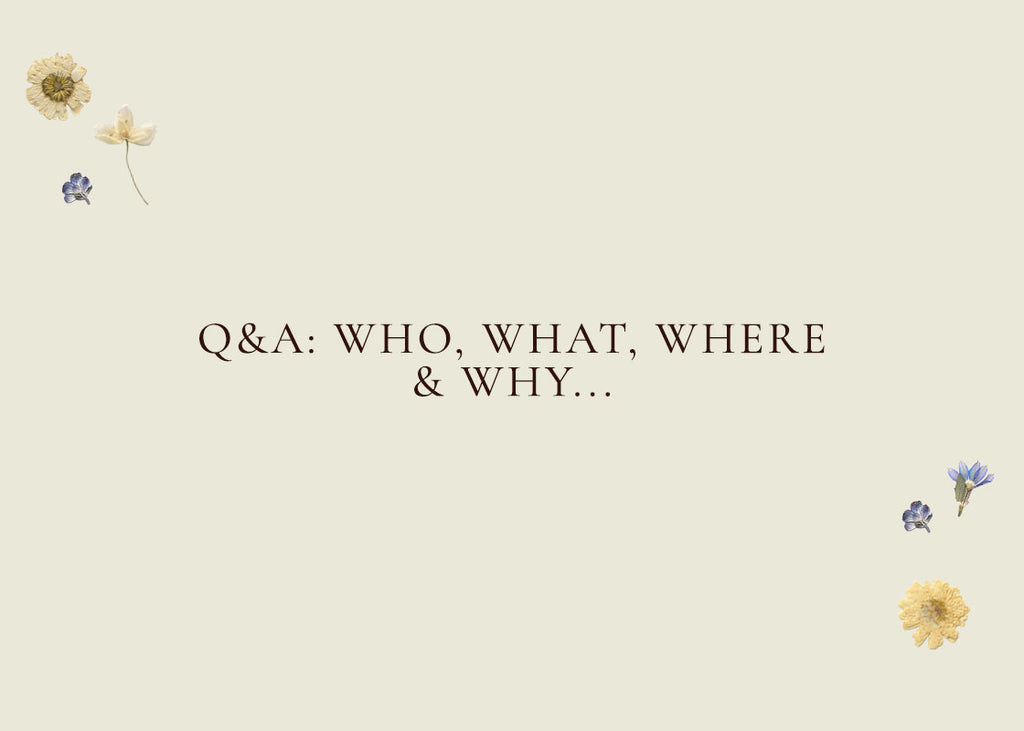 Q&A: Who, What, Where, & Why & Other Inquiries