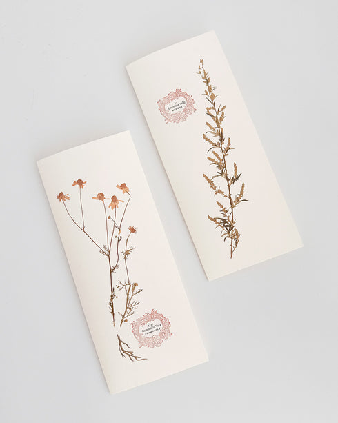 Herb Greeting Cards