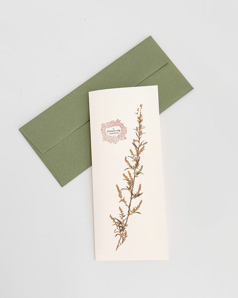Herb Greeting Cards