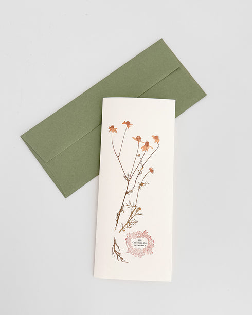 Herb Greeting Cards