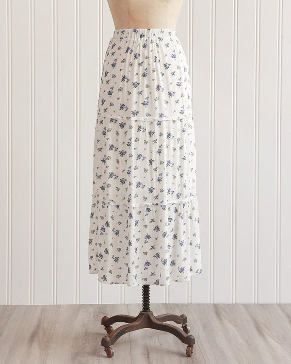 Shops on Bibury Skirt