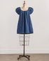 Wiscasset Denim Mini Dress