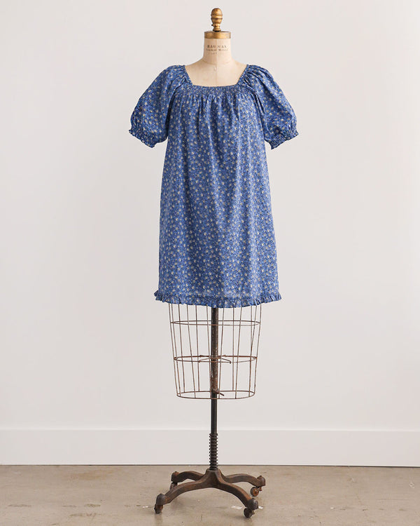 Dried Bluebonnets Dress