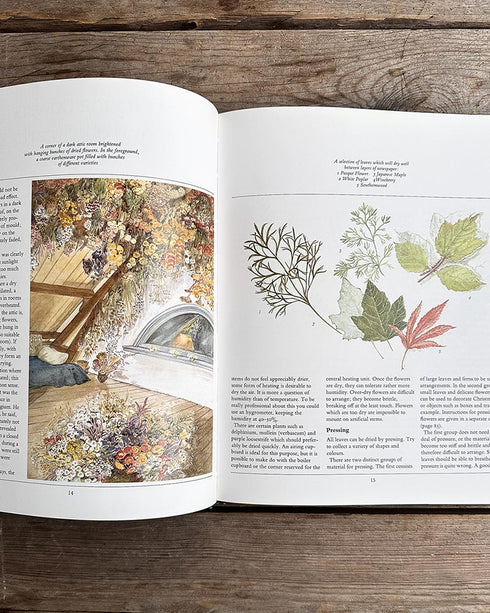 The Dried Flower Book