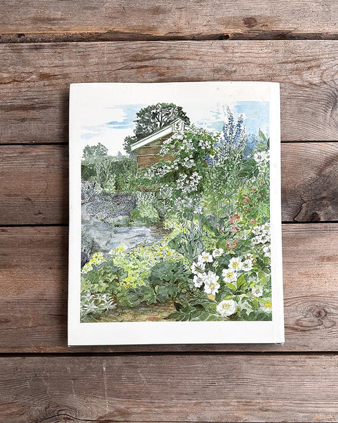 The Dried Flower Book