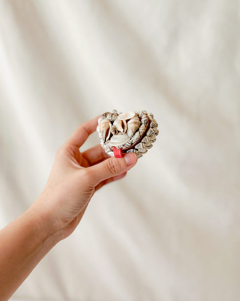 Seashell Jewelry Boxes