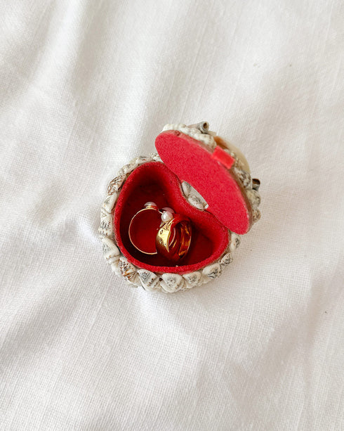 Seashell Jewelry Boxes