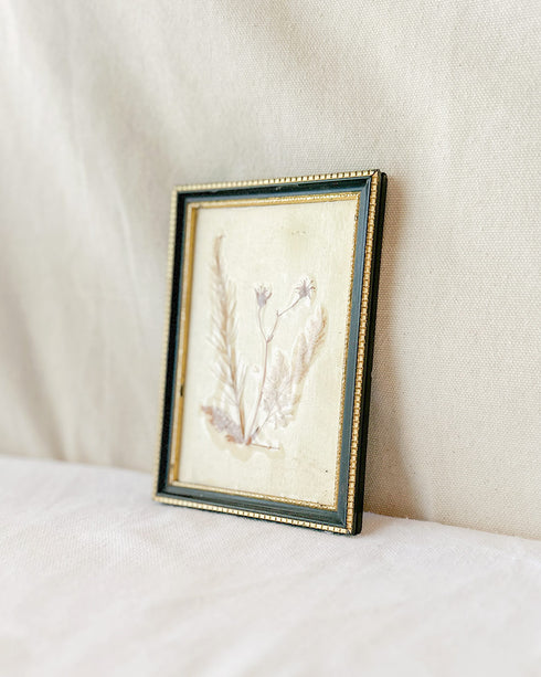 Framed Press Flowers