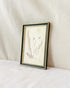 Framed Press Flowers
