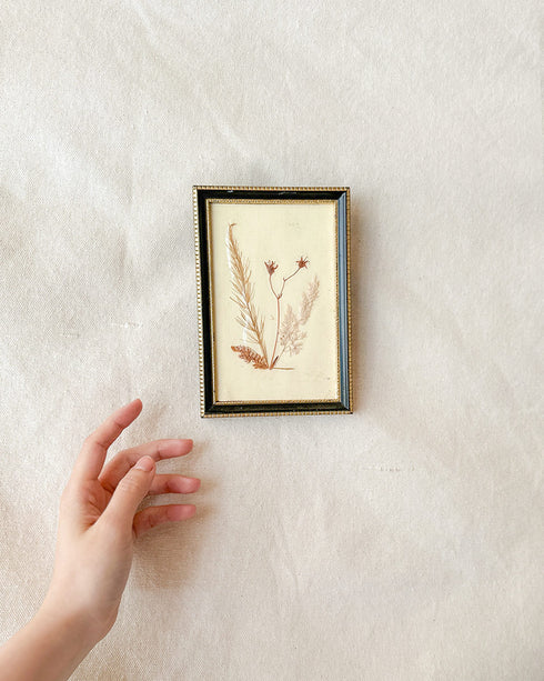 Framed Press Flowers